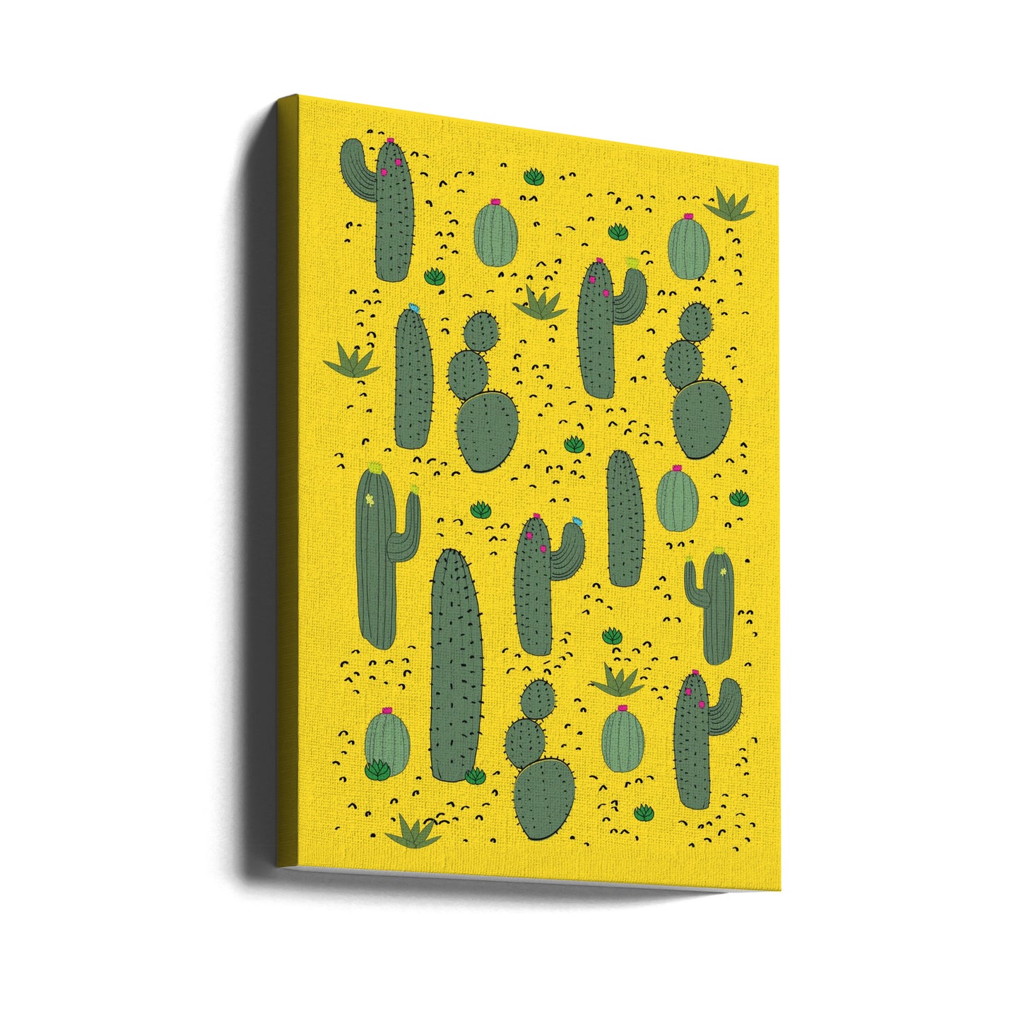 Cactus | Canvas