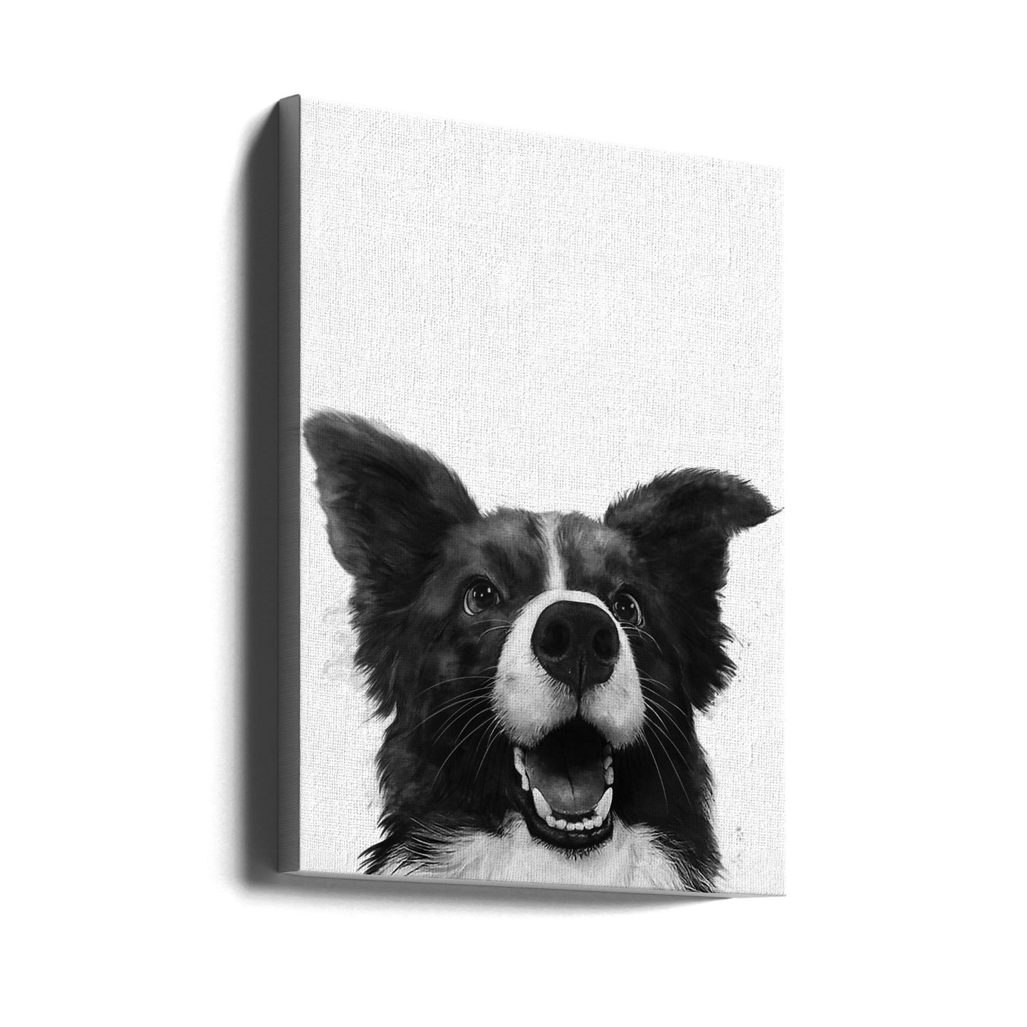 Sguardo canino gioioso | Stampe su Tela