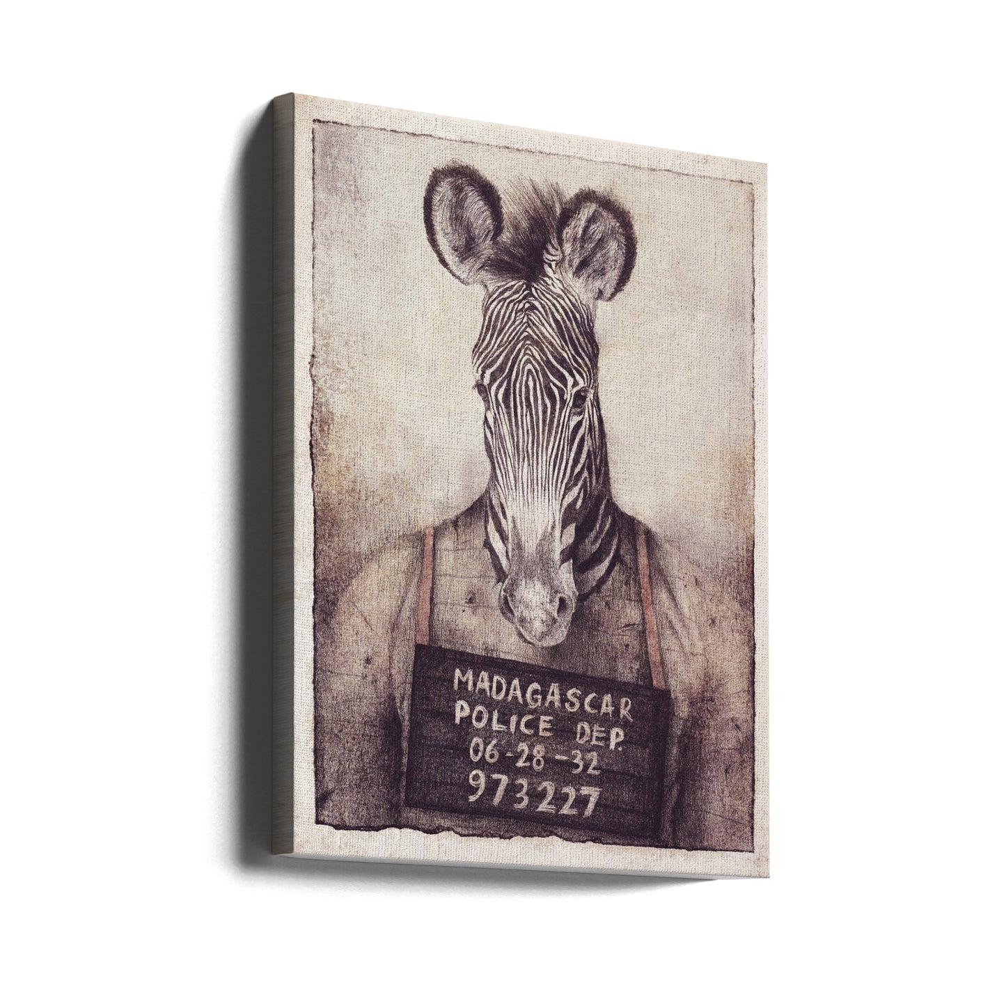 Zebra Mugshot Mystery | Canvas