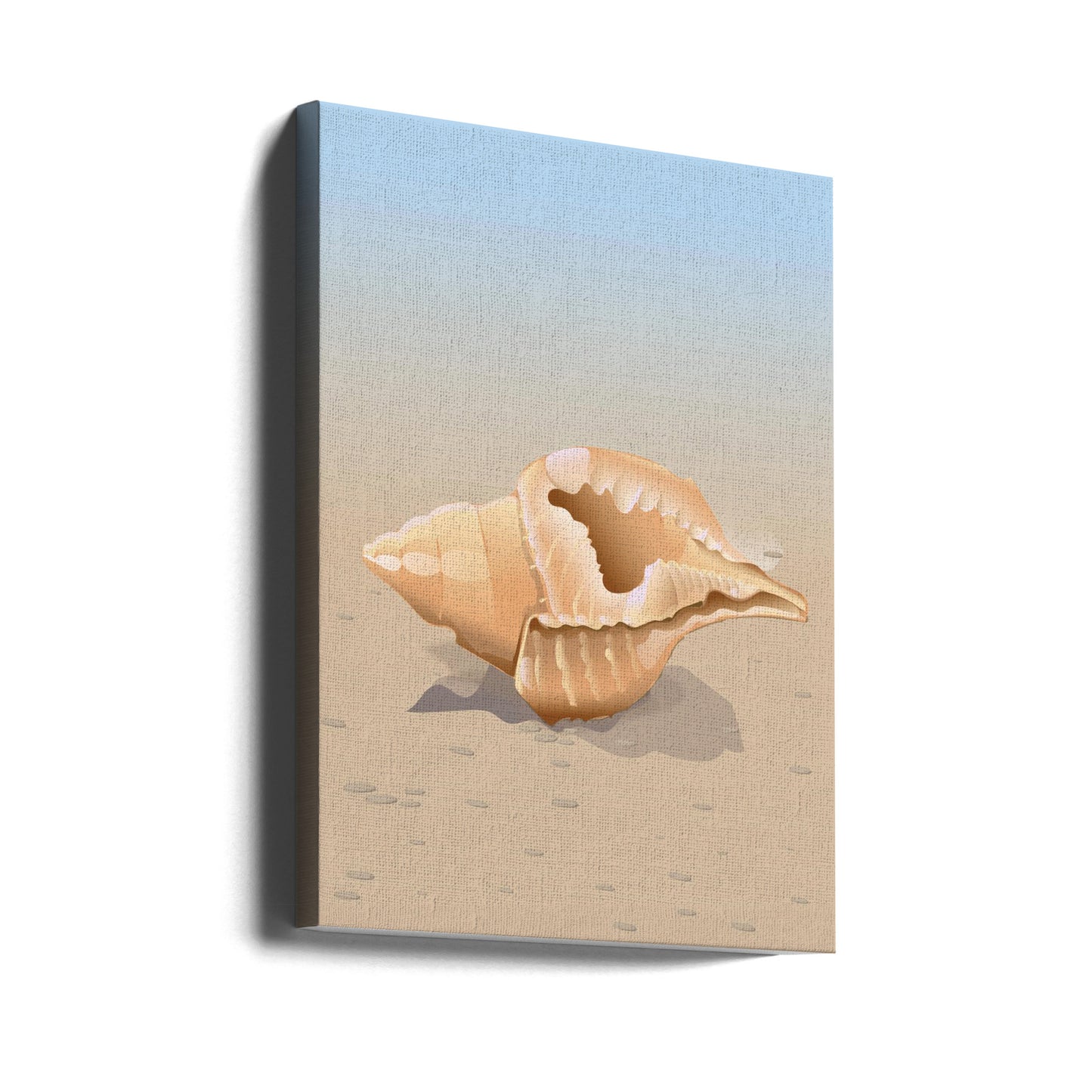Muschel am Sandstrand | Leinwand