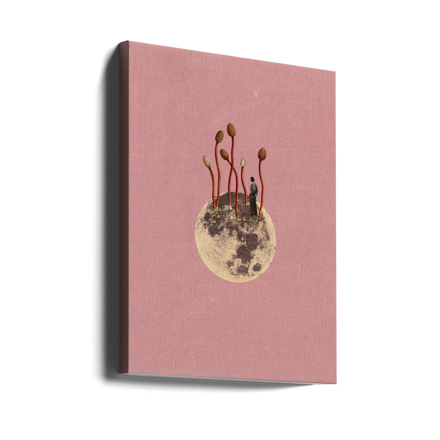 Mondwachstum | Leinwand