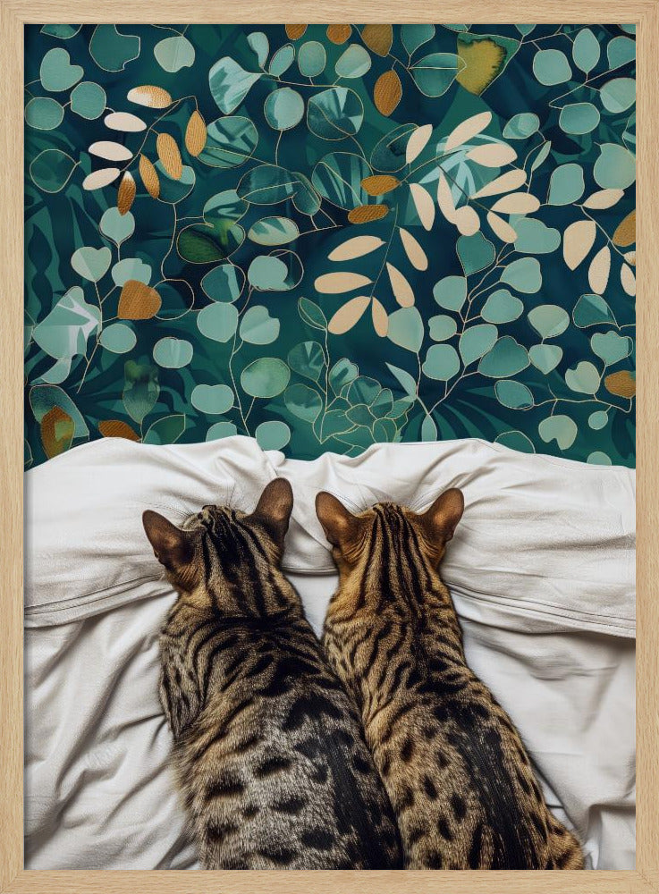 Zwei Katzen | Poster