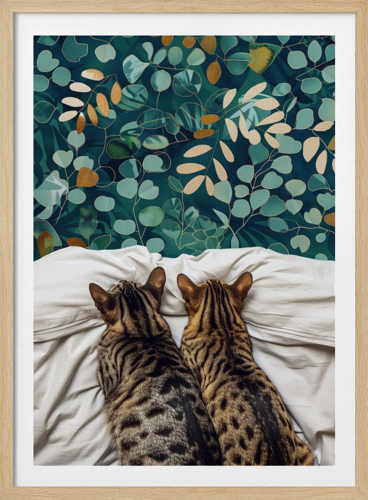 Zwei Katzen | Poster