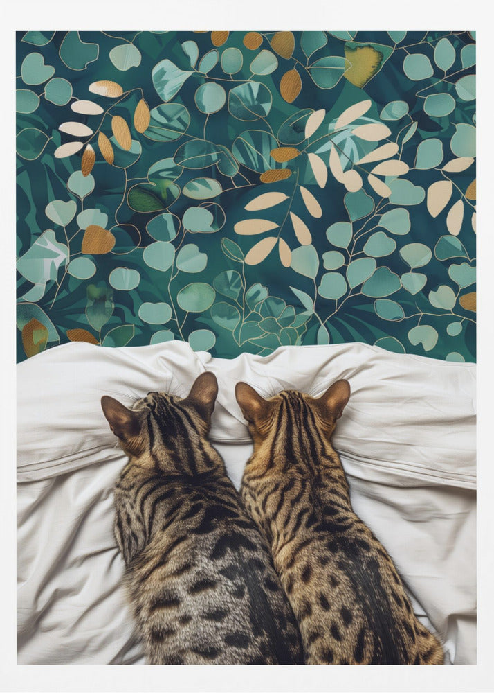 Zwei Katzen | Poster