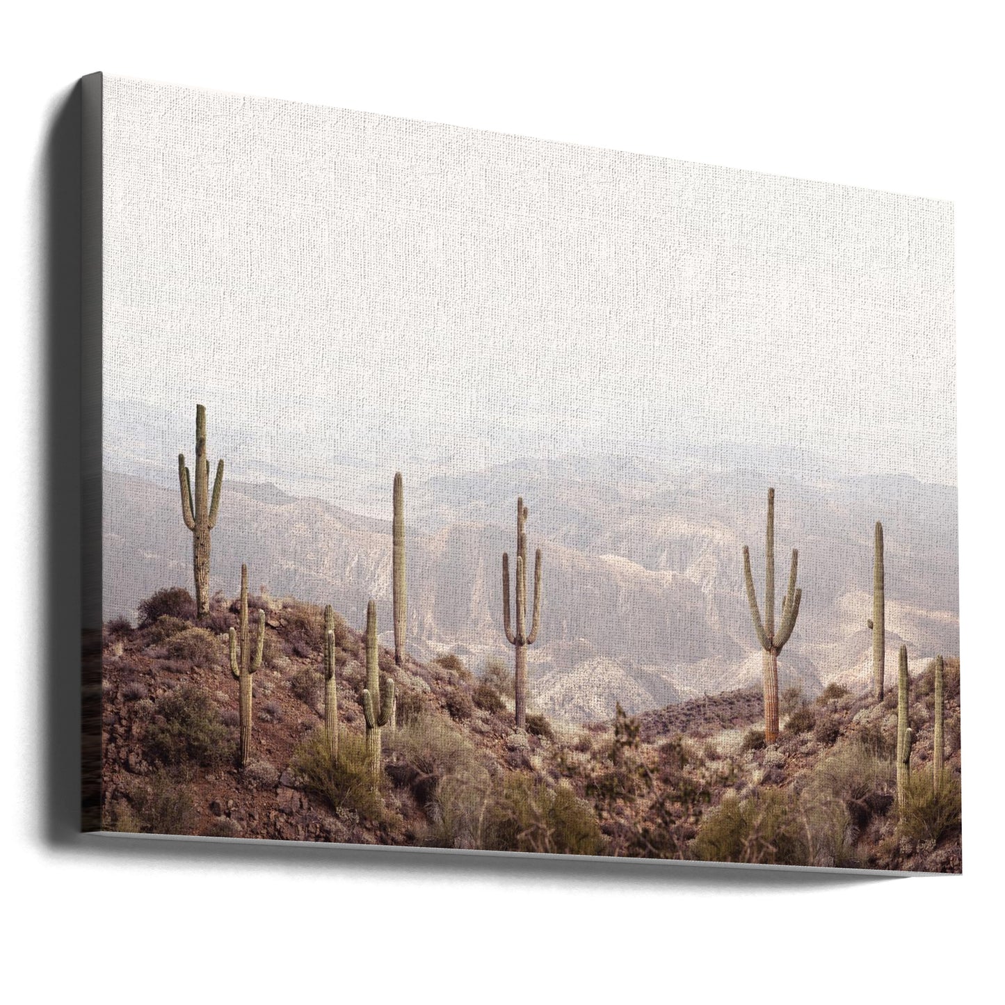 Arizona Valley | Canvas