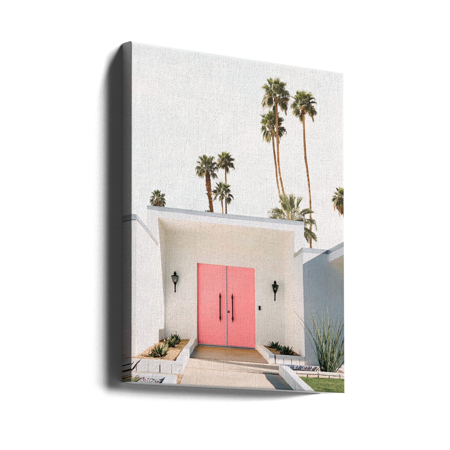 Palm Springs 3 | Canvas