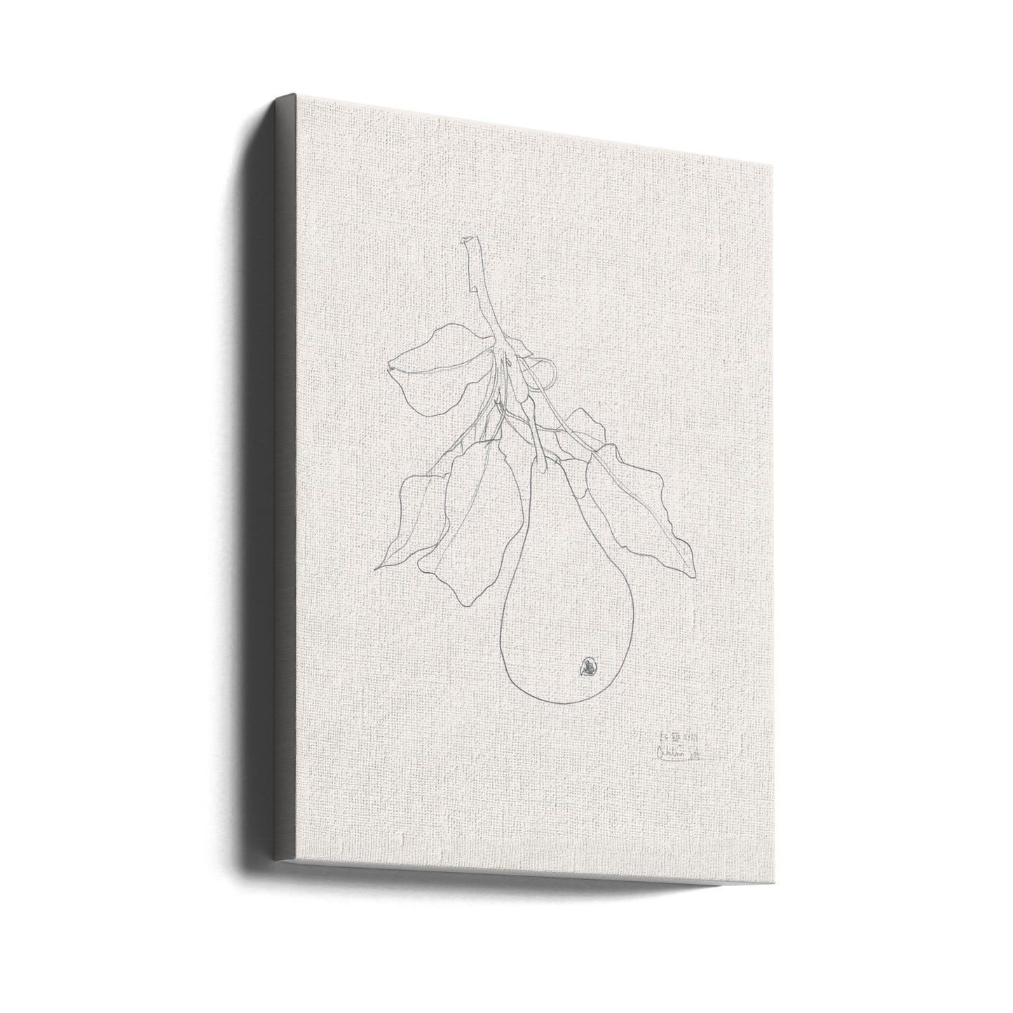 Elegante Birnenskizze | Leinwand