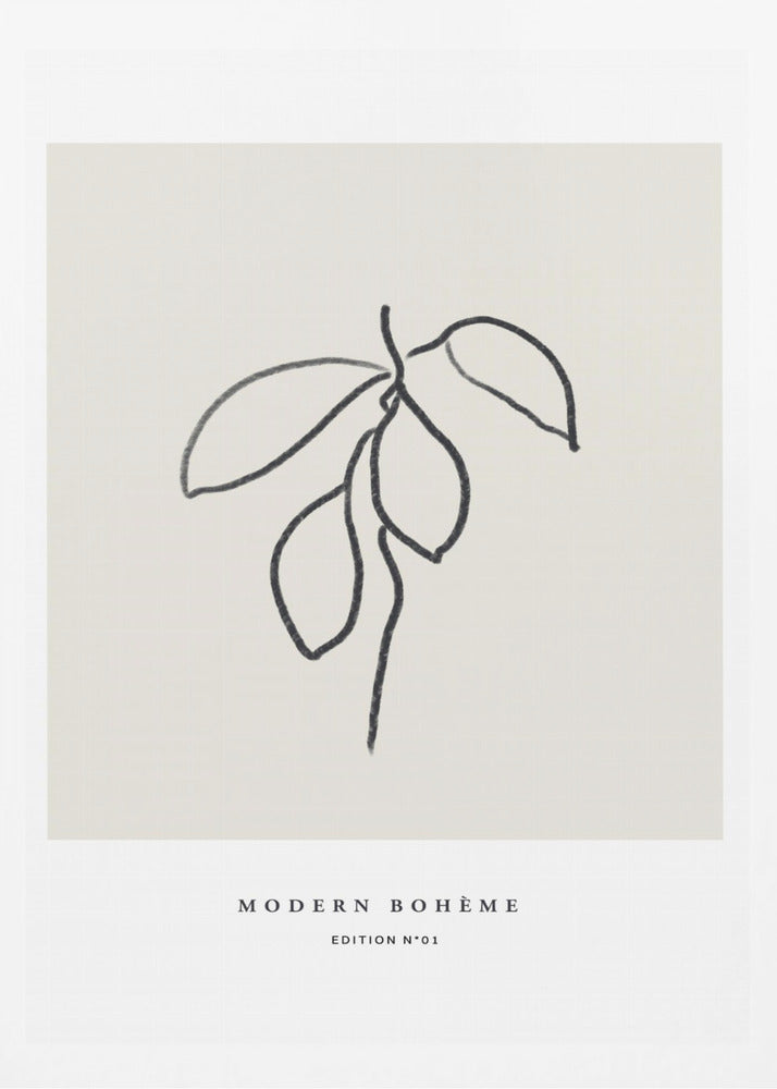 Bohemian Line Leaf | Poster