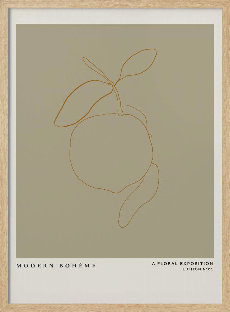 Minimalist Citrus | Poster