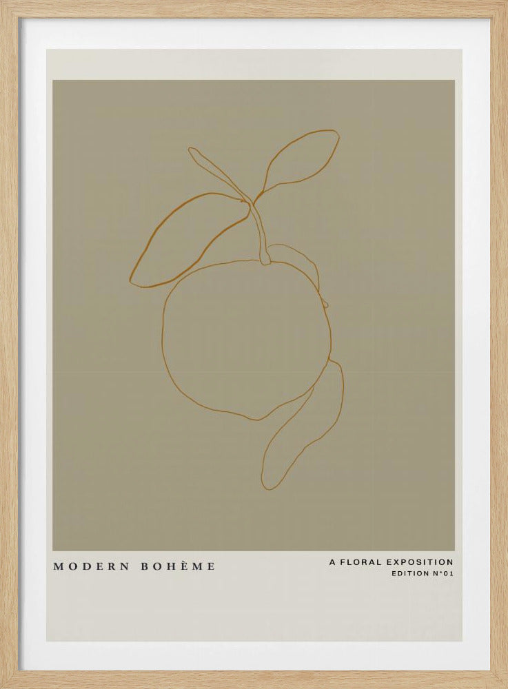Minimalist Citrus | Poster