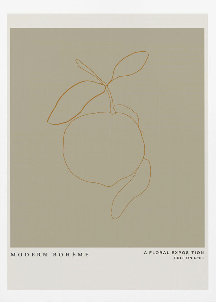 Minimalist Citrus | Poster