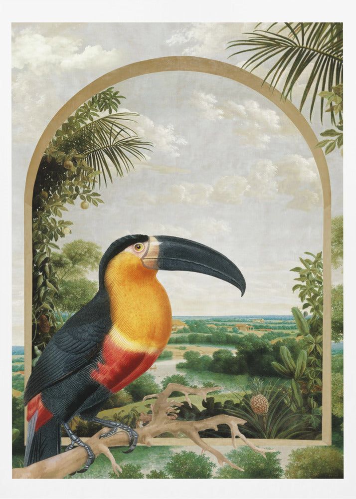 Tukan auf einem Ast | Poster