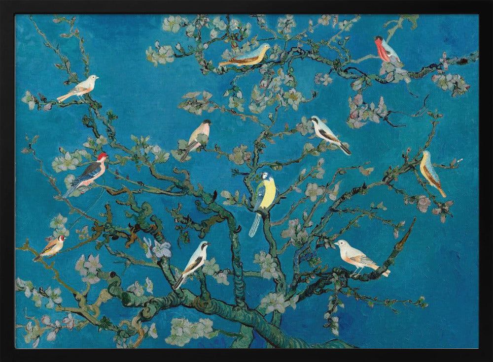 Vögel in der Mandelblüte | Poster