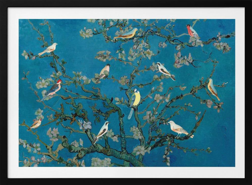 Vögel in der Mandelblüte | Poster