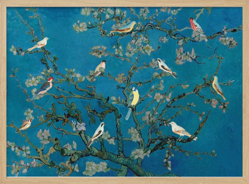 Vögel in der Mandelblüte | Poster