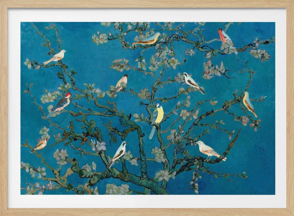 Vögel in der Mandelblüte | Poster