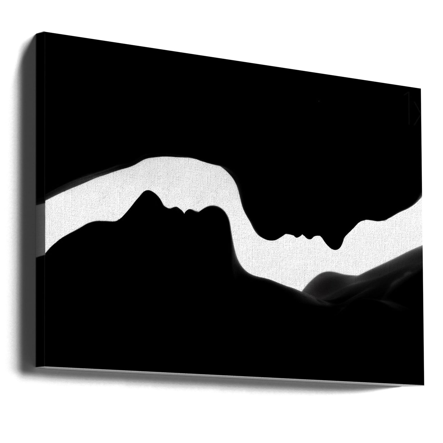 Kahden naisen profiilit | Canvastaulut