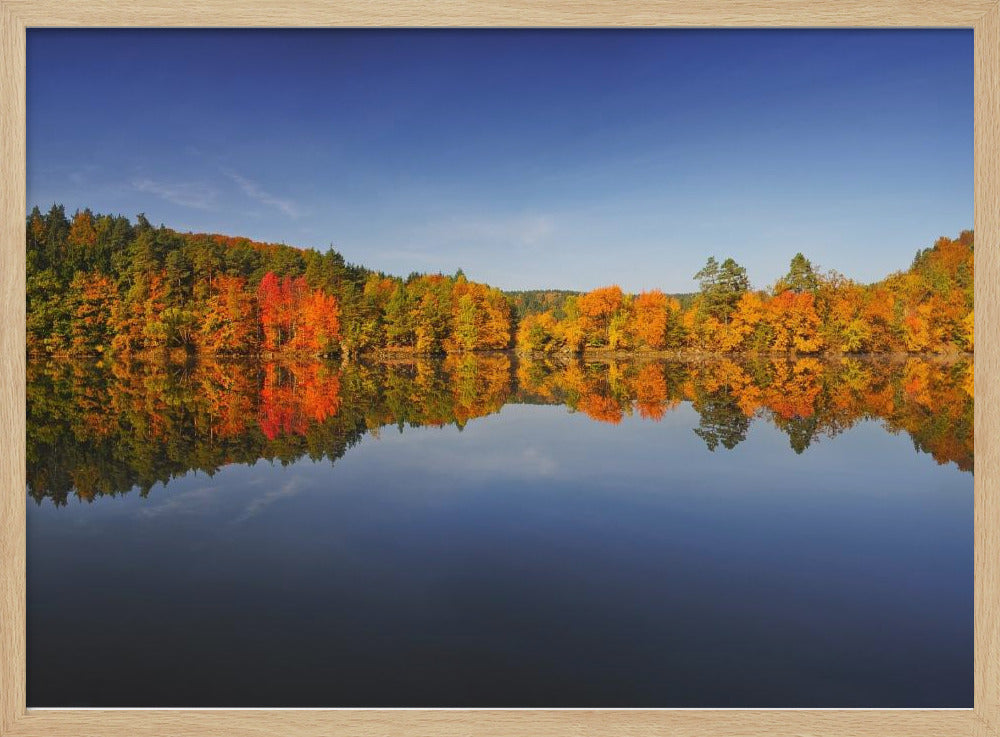Autumn | Poster