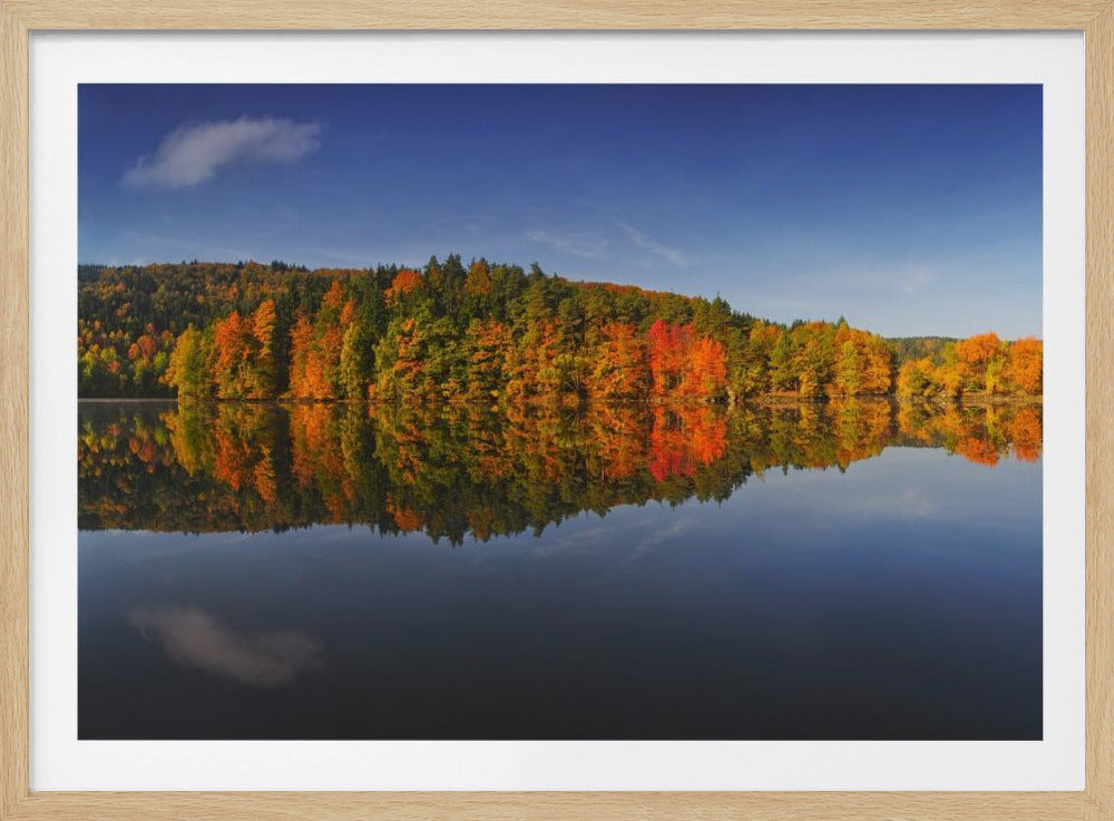 Autumn | Poster