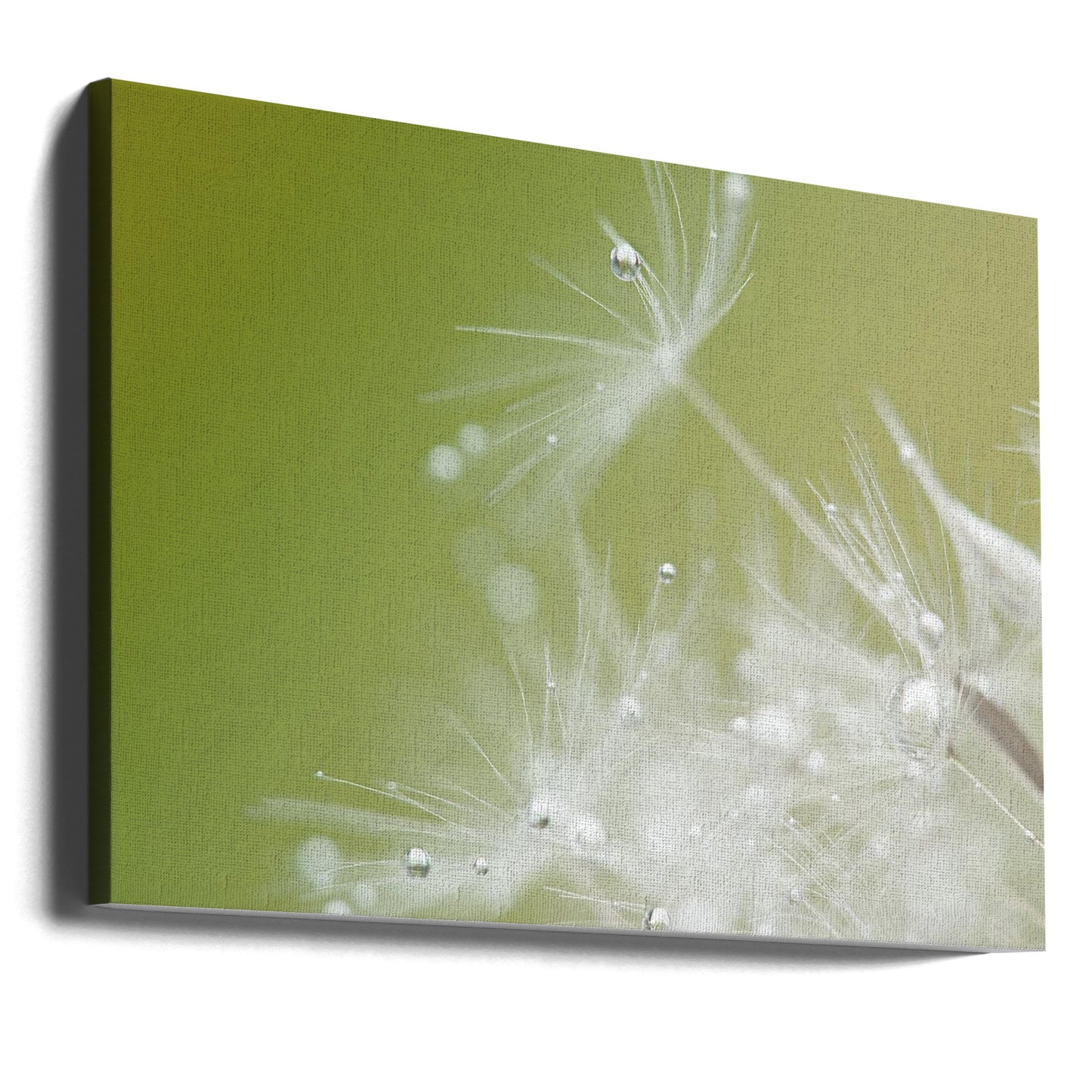 Green | Canvas