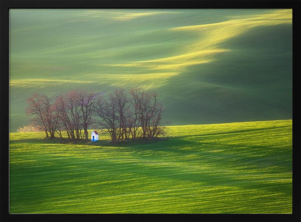 Fields... | Poster