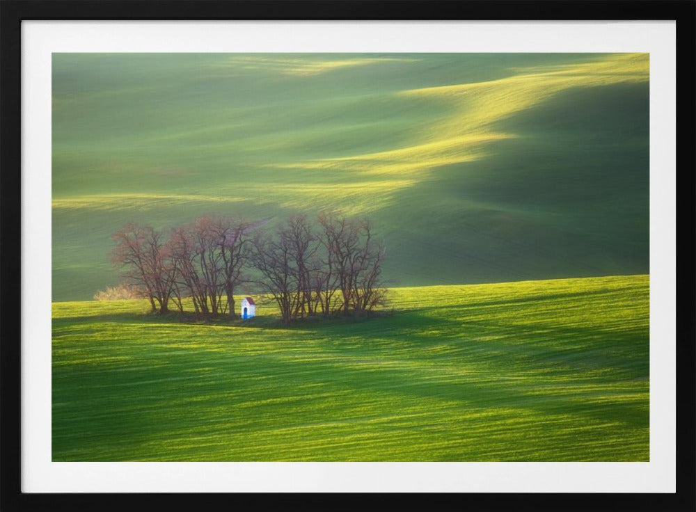 Fields... | Poster