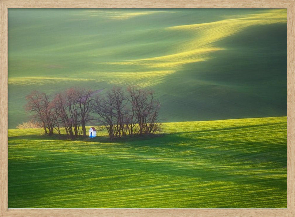 Fields... | Poster