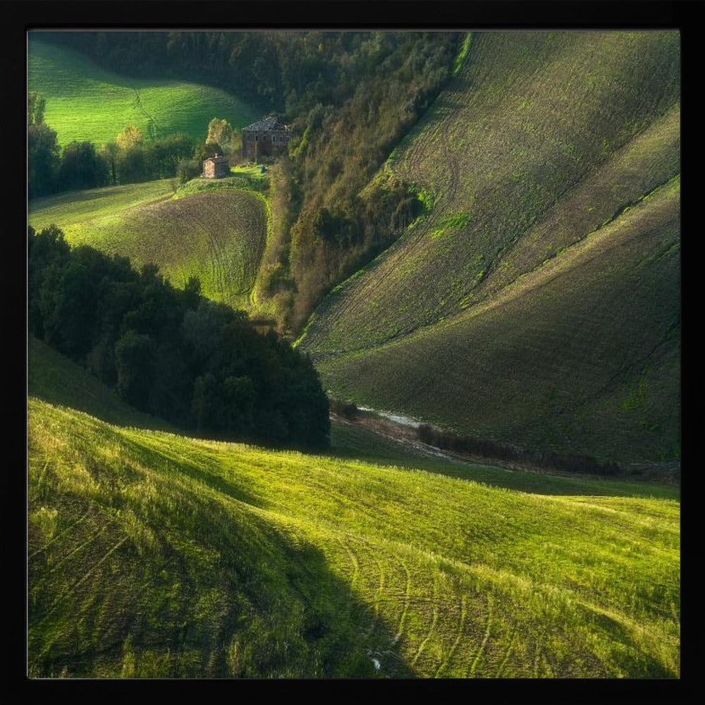 Crete Senses/Tuscany | Poster