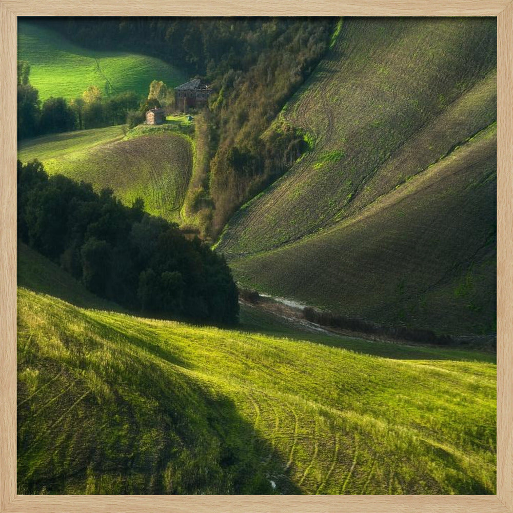 Crete Senses/Tuscany | Poster