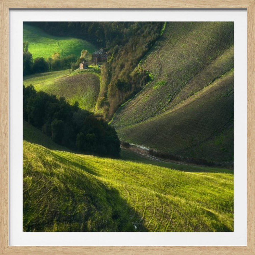 Crete Senses/Tuscany | Poster