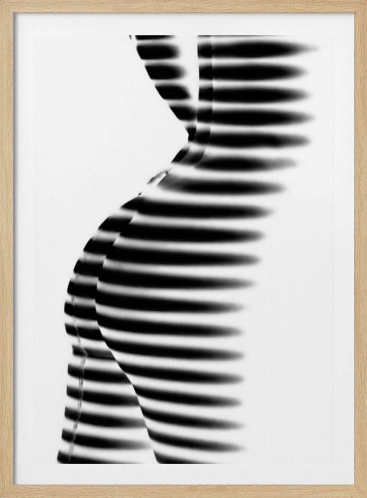 Zebra | Poster