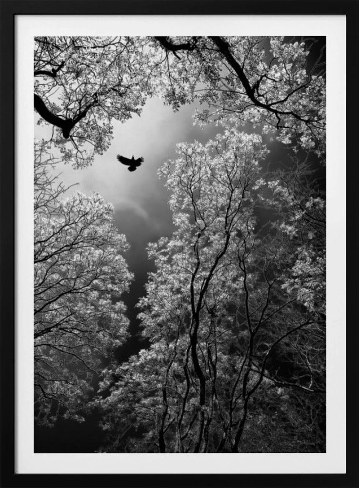 Flight | Poster