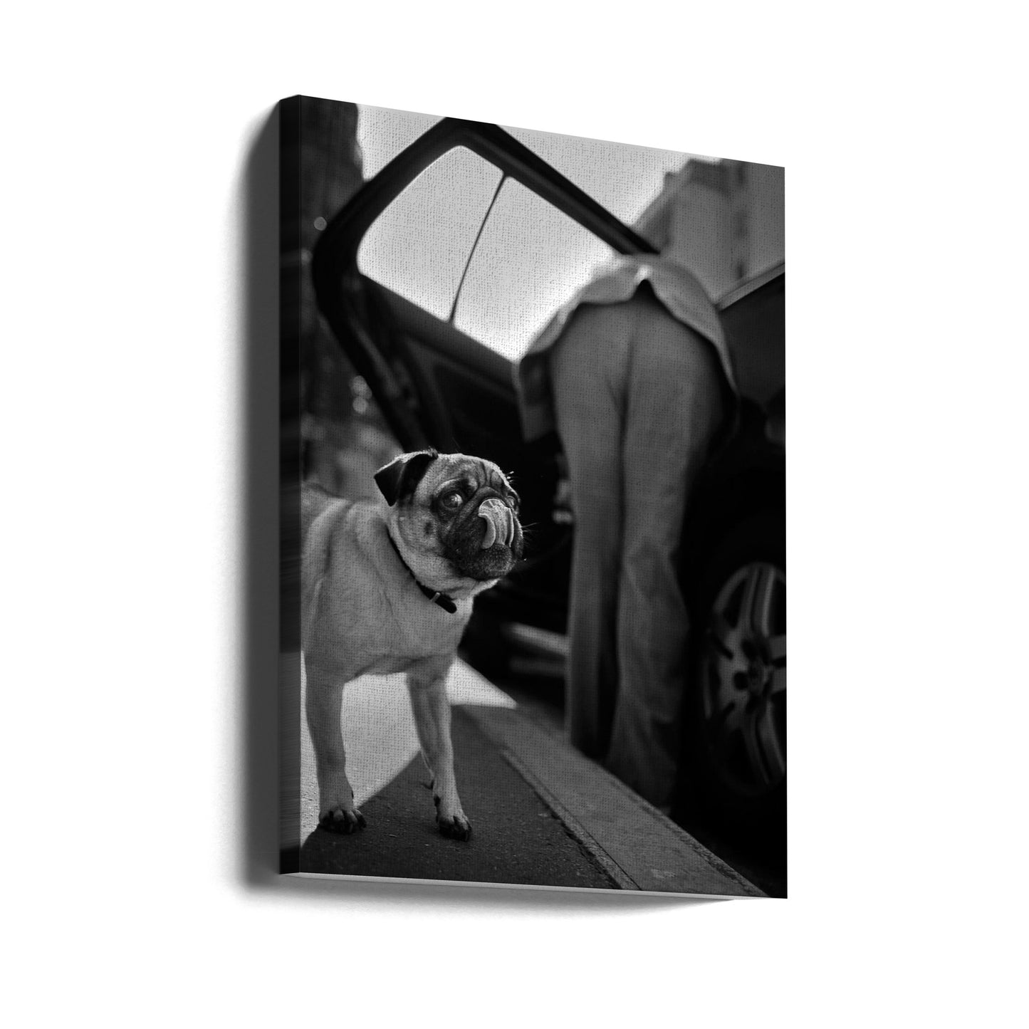 Untitled | Canvas