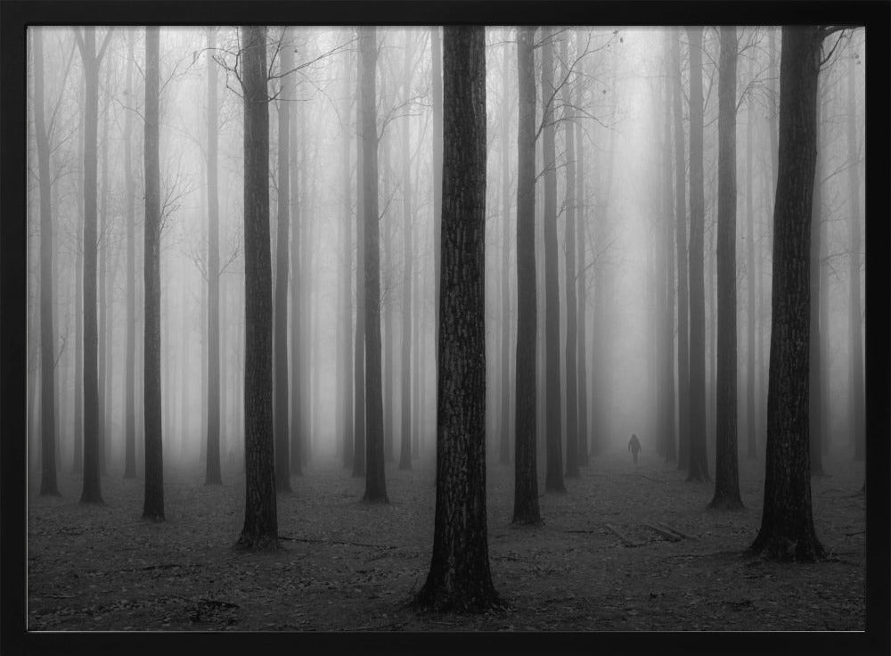 In a Fog | Poster