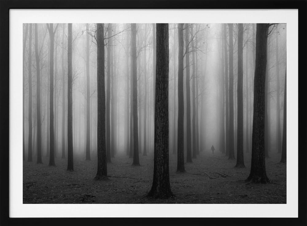 In a Fog | Poster