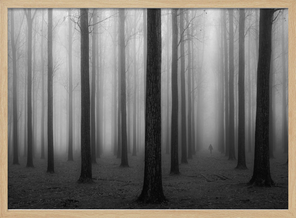 In a Fog | Poster