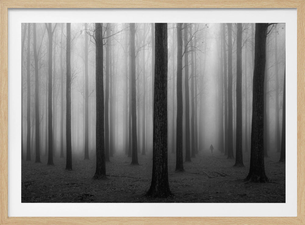 In a Fog | Poster