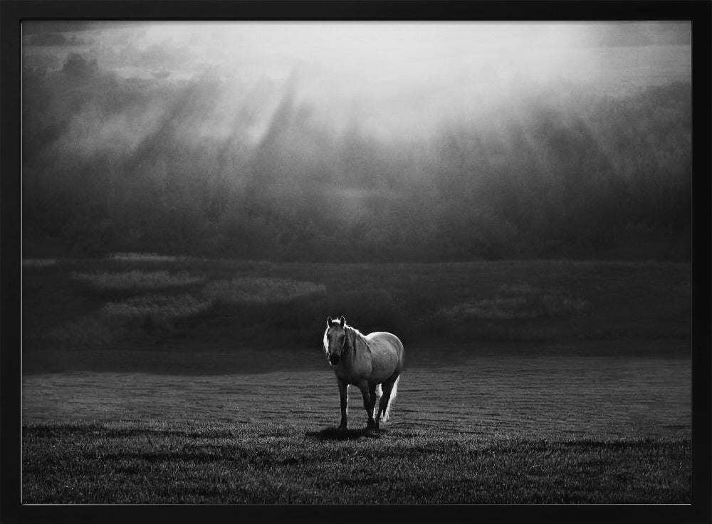 morning appearance | Poster