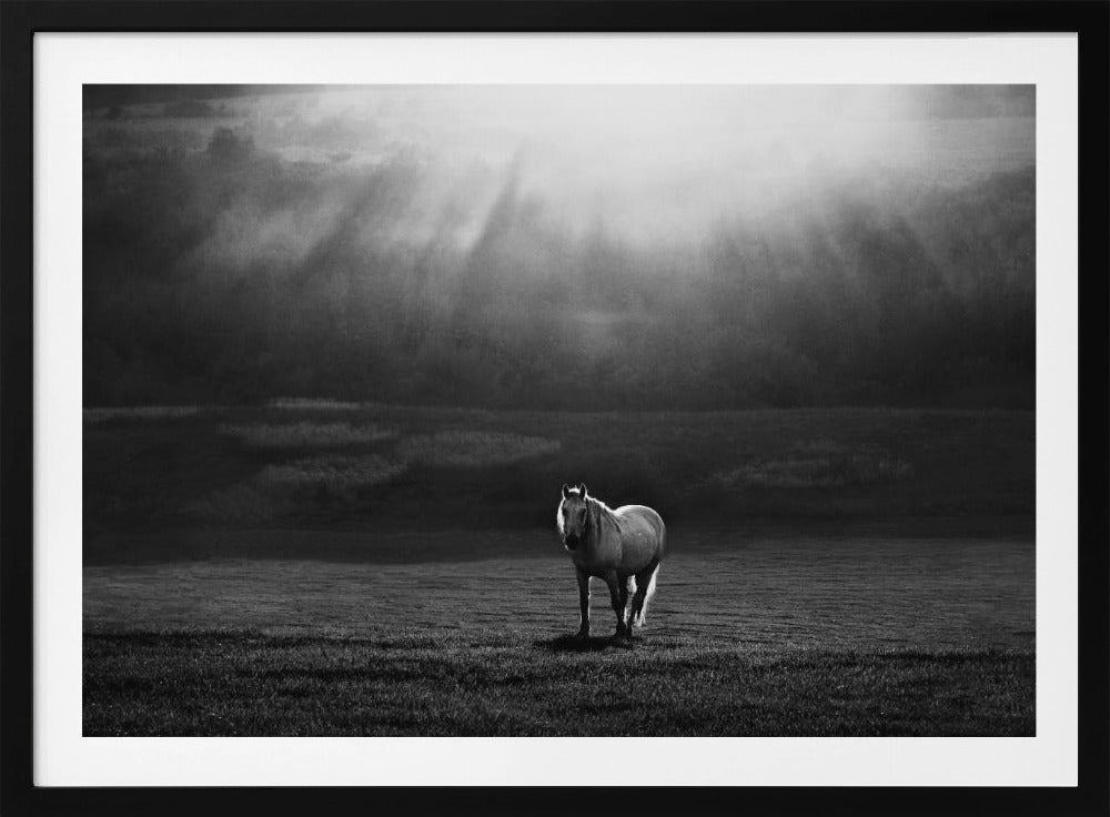 aamun esiintyminen | Julisteet - Taidevedokset