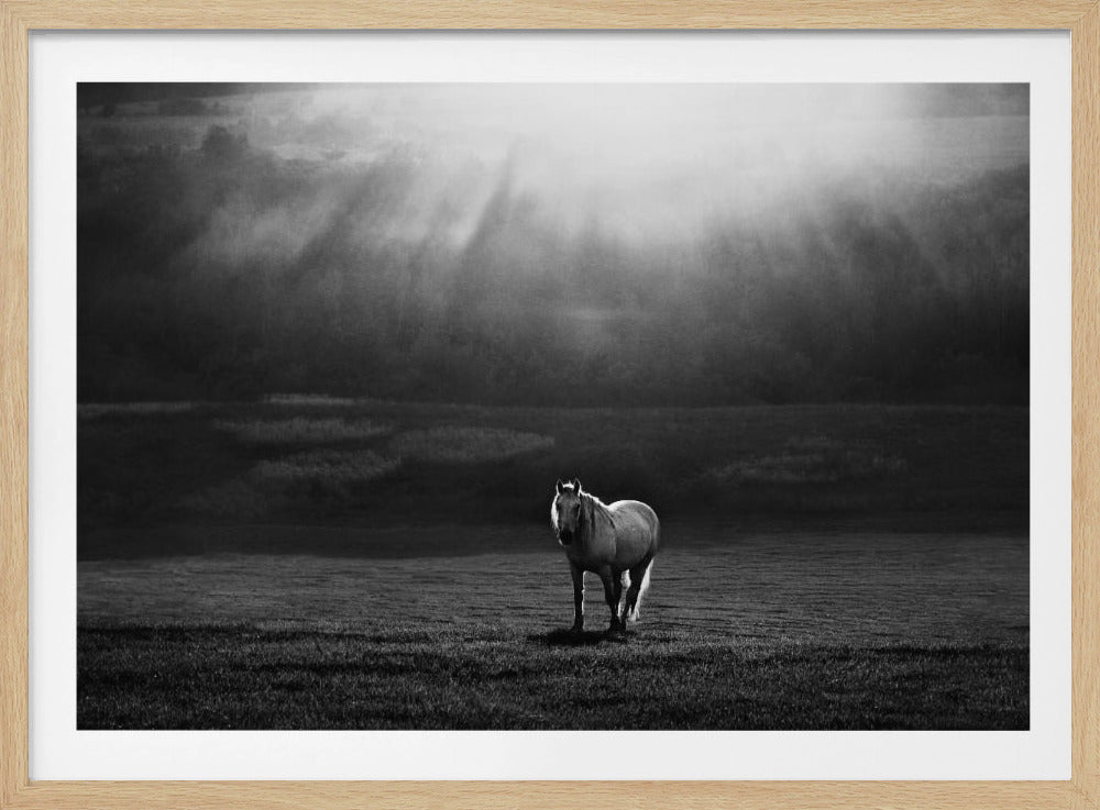 aamun esiintyminen | Julisteet - Taidevedokset