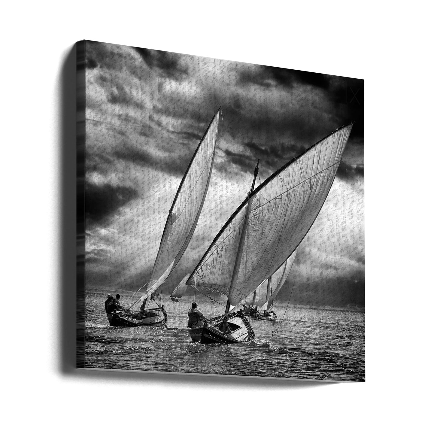 Sailboats and Light | Canvas