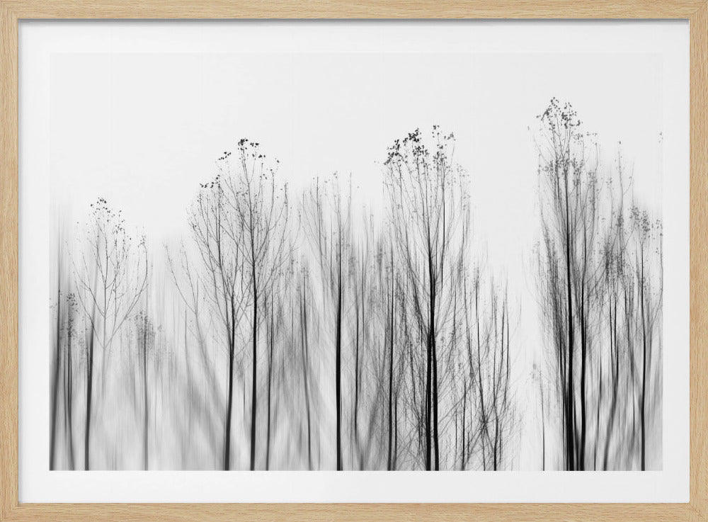 No Grounds | Poster