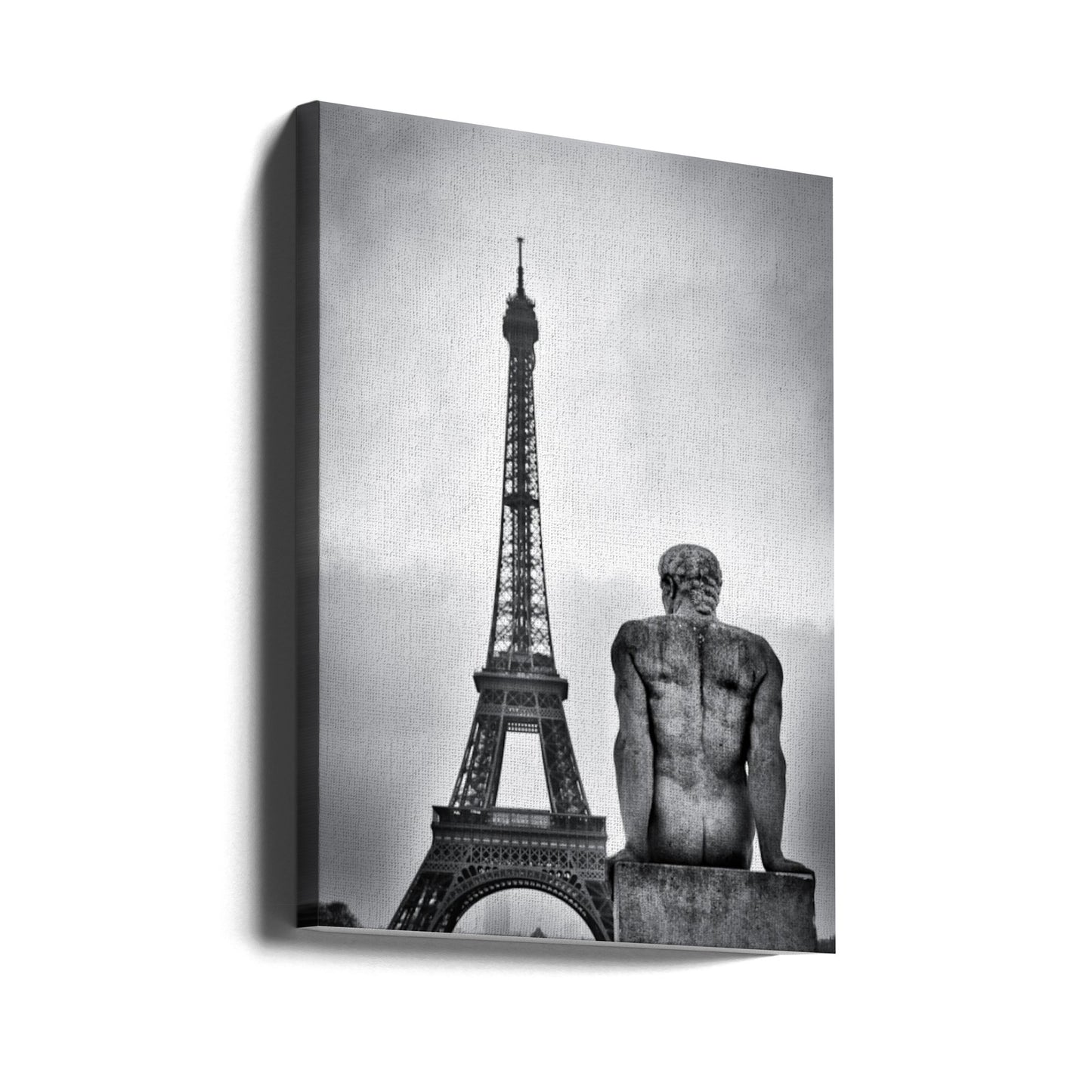 Stalowa dama | Wydruki na łótnie