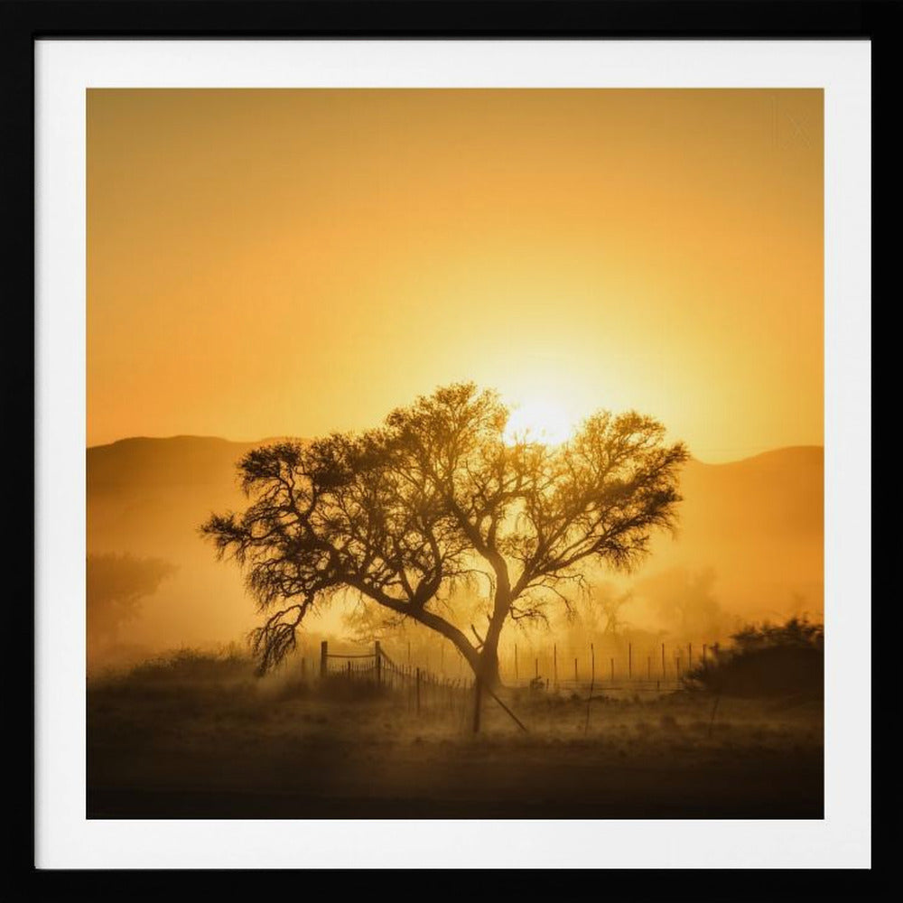 Golden Sunrise | Poster