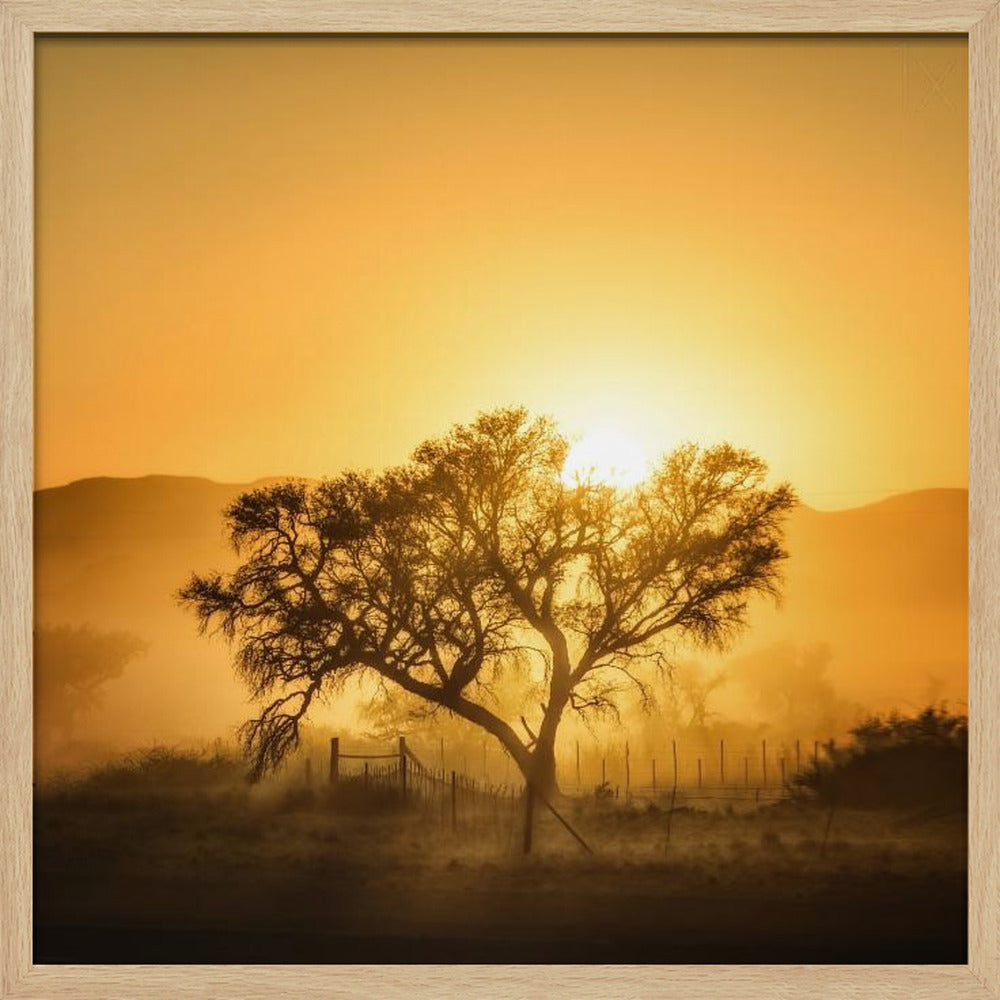 Golden Sunrise | Poster