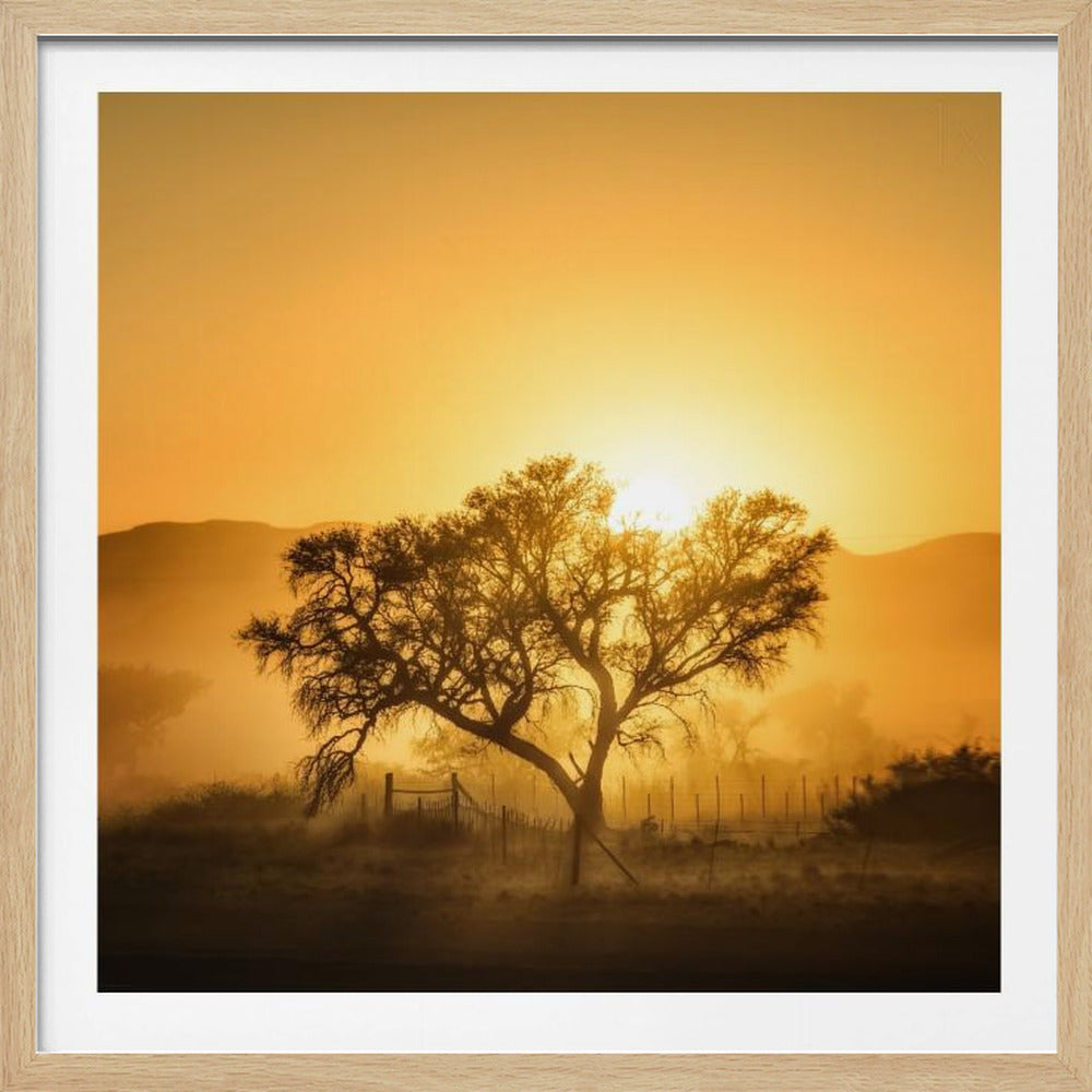 Golden Sunrise | Poster