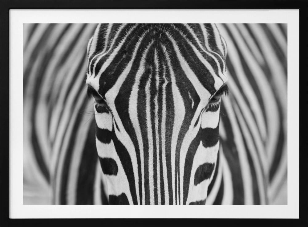 Seepra | Julisteet - Taidevedokset