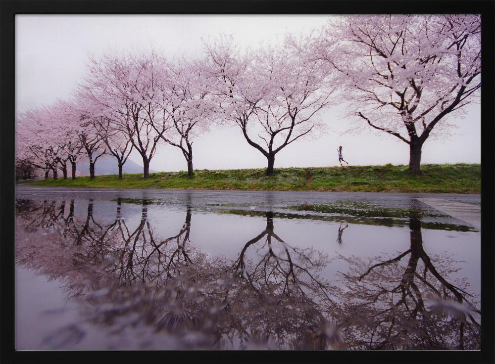 Kevään sade | Julisteet - Taidevedokset