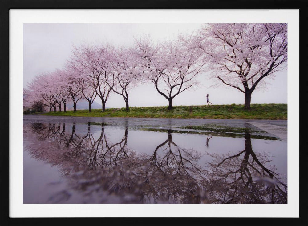 Kevään sade | Julisteet - Taidevedokset