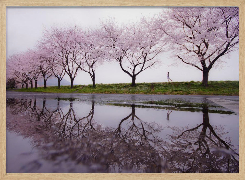 Kevään sade | Julisteet - Taidevedokset